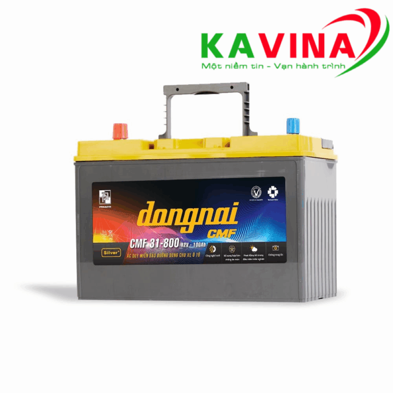 Bình ắc quy Đồng Nai CMF 31800 (12V-100Ah)